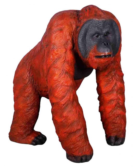 Male Orangutan Prop Hire