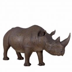 rhino prop