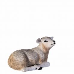 Texelaar Lamb Prop