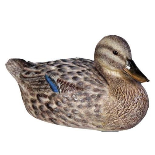 brown duck prop