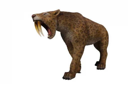 Saber-Toothed Cat