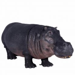 hippo prop
