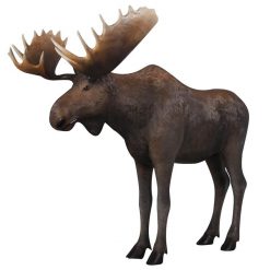moose prop