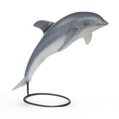 Dolphin Prop