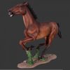 horse