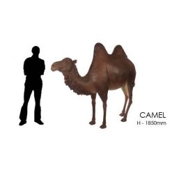 camel prop