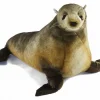fur seal