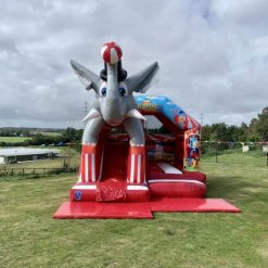 Circus Bouncy Castle, Slides & Soft Play Hire