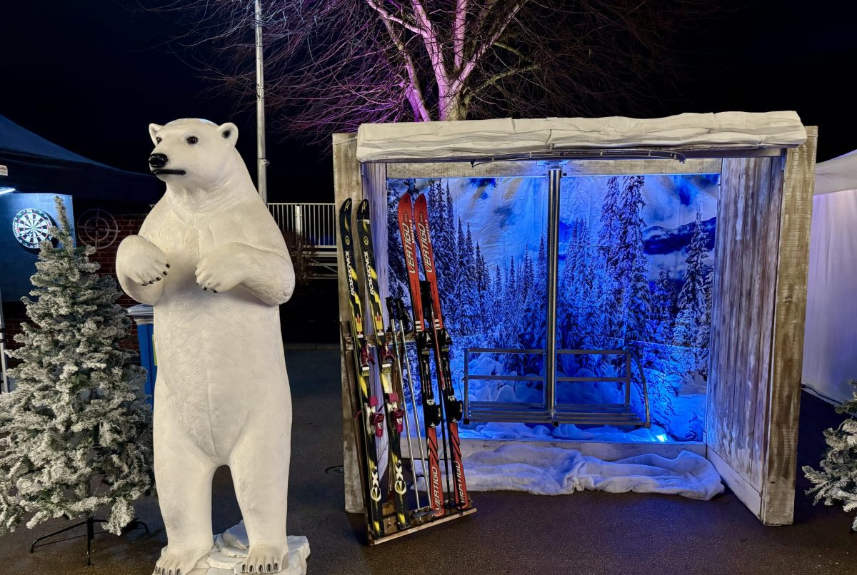 Après Ski Photo Booth Hire