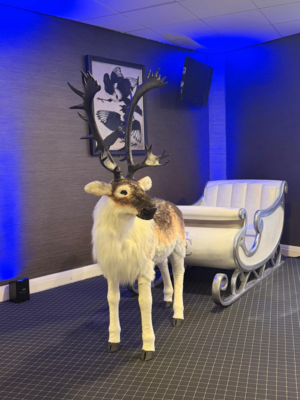 Santa's Sleigh & Reindeer - Image 3