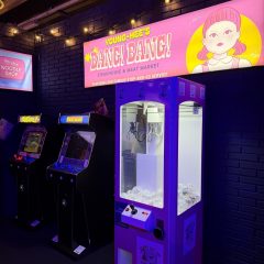 Amusement Game Hire West London | Olympia Arcade Hire Prize Crane Hire